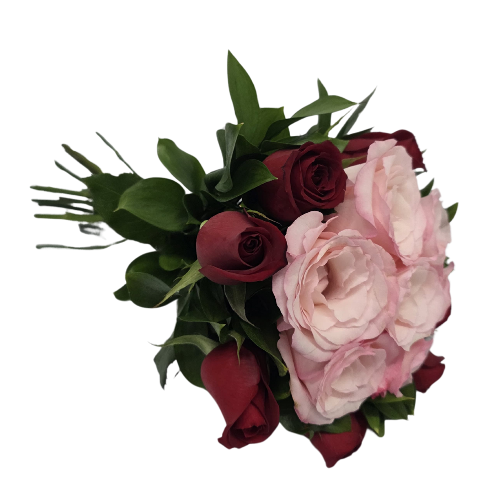 15 Rosas Sortidas (Rosadas e Vermelhas) 15 Rosas Sortidas (Rosadas e Vermelhas)