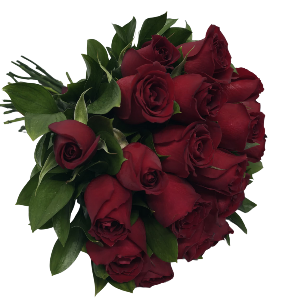 18 Rosas Vermelhas 18 Rosas Vermelhas