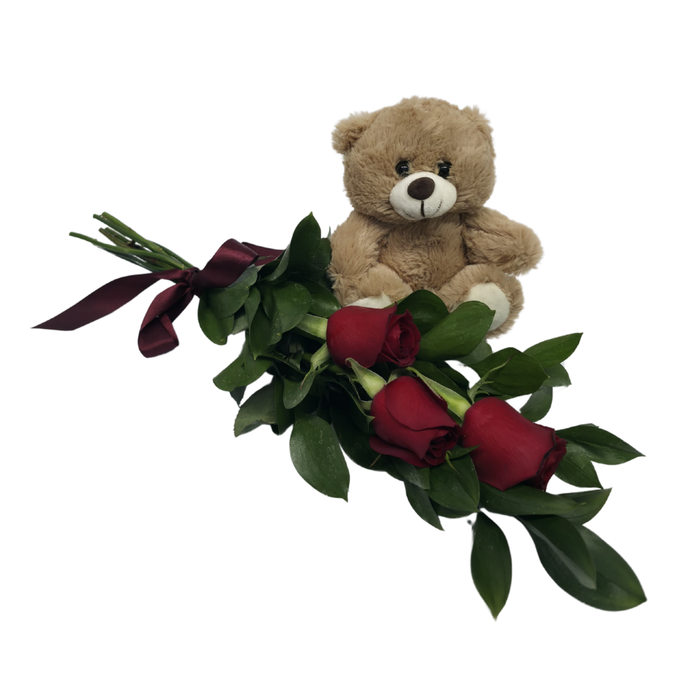 3 Rosas Vermelhas com Pelúcia 3 Rosas Vermelhas com Pelúcia