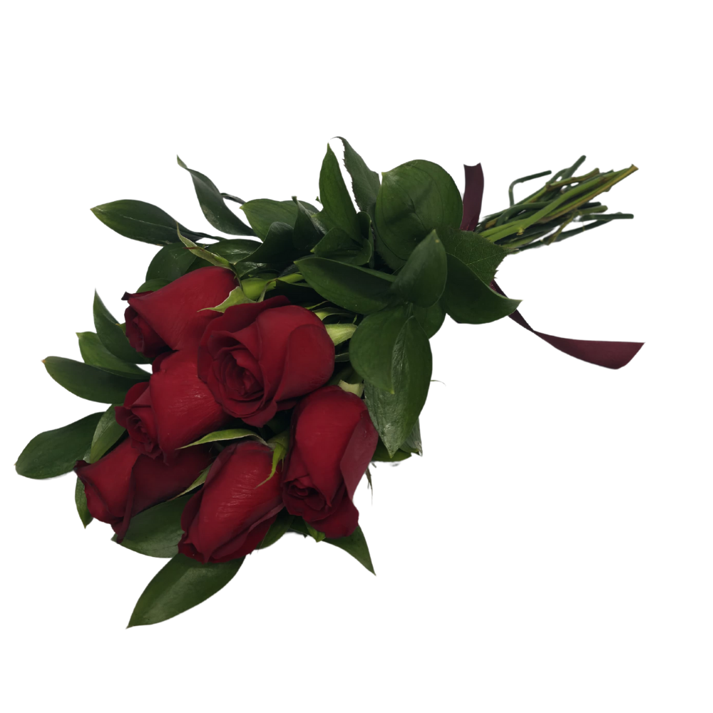 6 Rosas Vermelhas