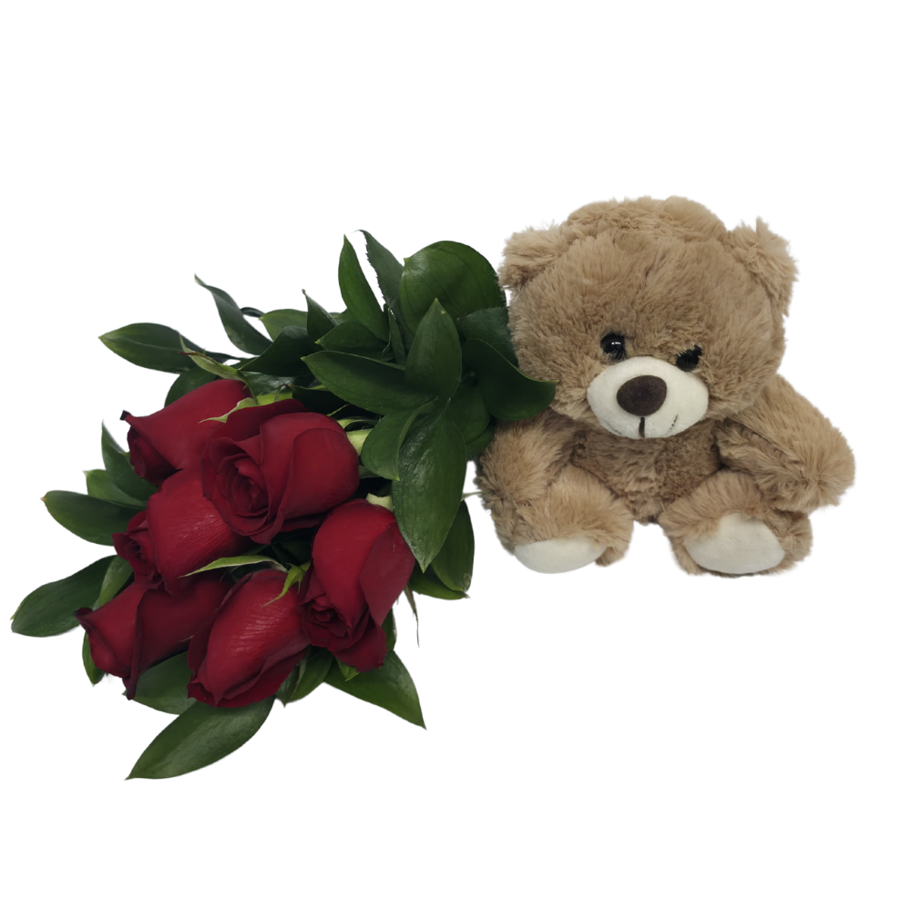 6 Rosas Vermelhas com Pelúcia