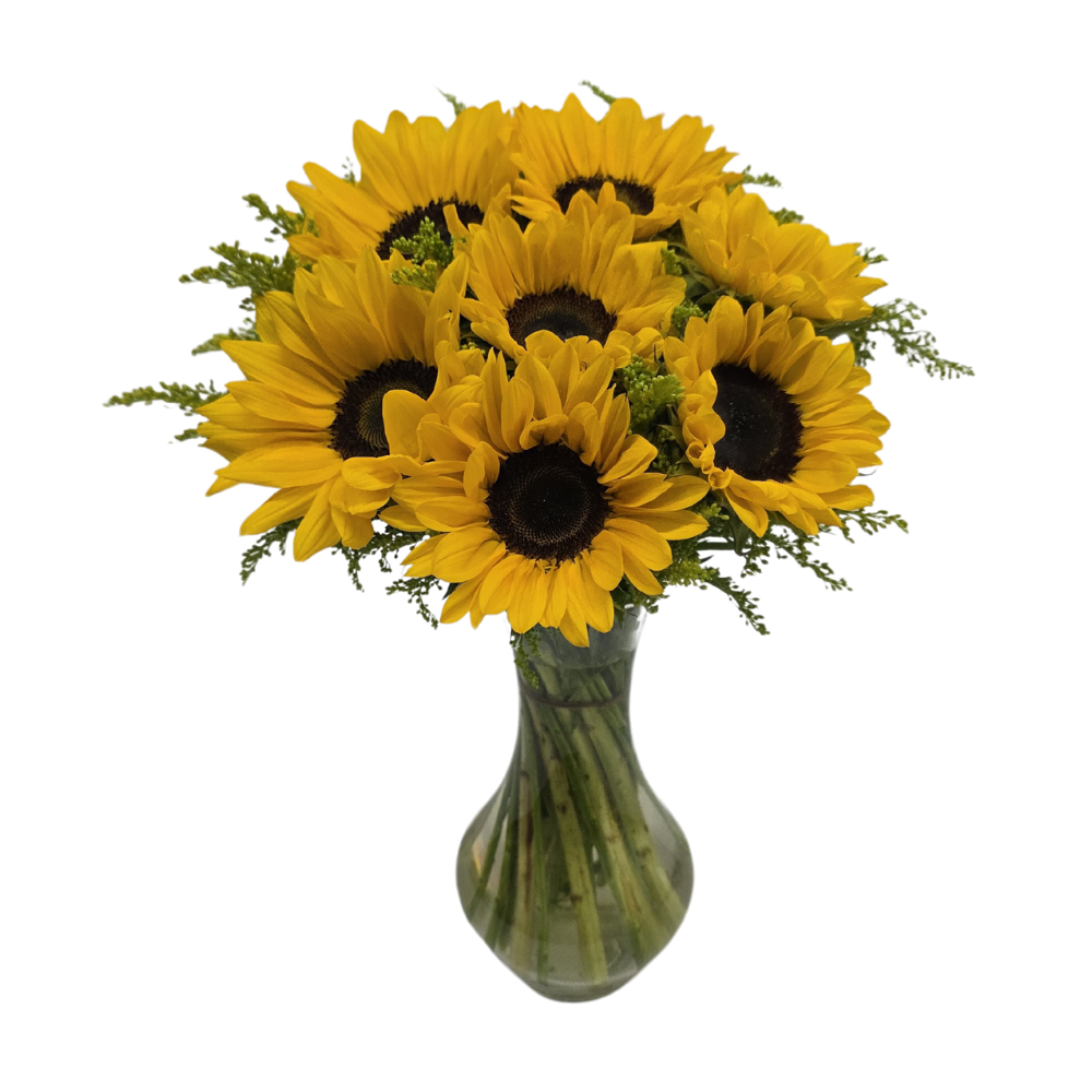 Arranjo com 10 Girassóis no Vaso de Vidro