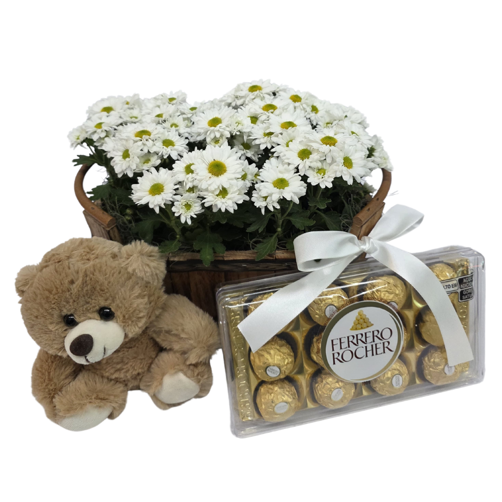 Arranjo com 2 Mini Margaridas Brancas, Ferrero Rocher e Pelúcia