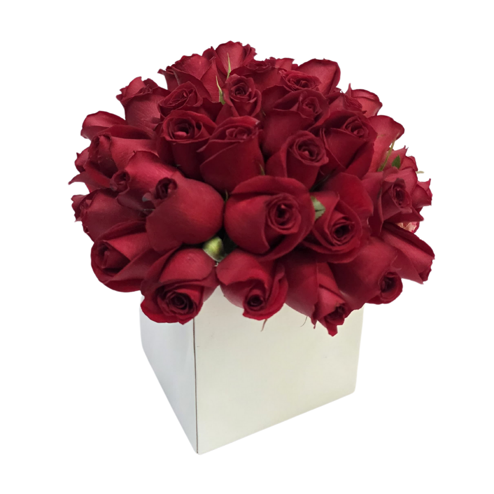 Arranjo com 30 Rosas Vermelhas no Cachepô Arranjo com 30 Rosas Vermelhas no Cachepô