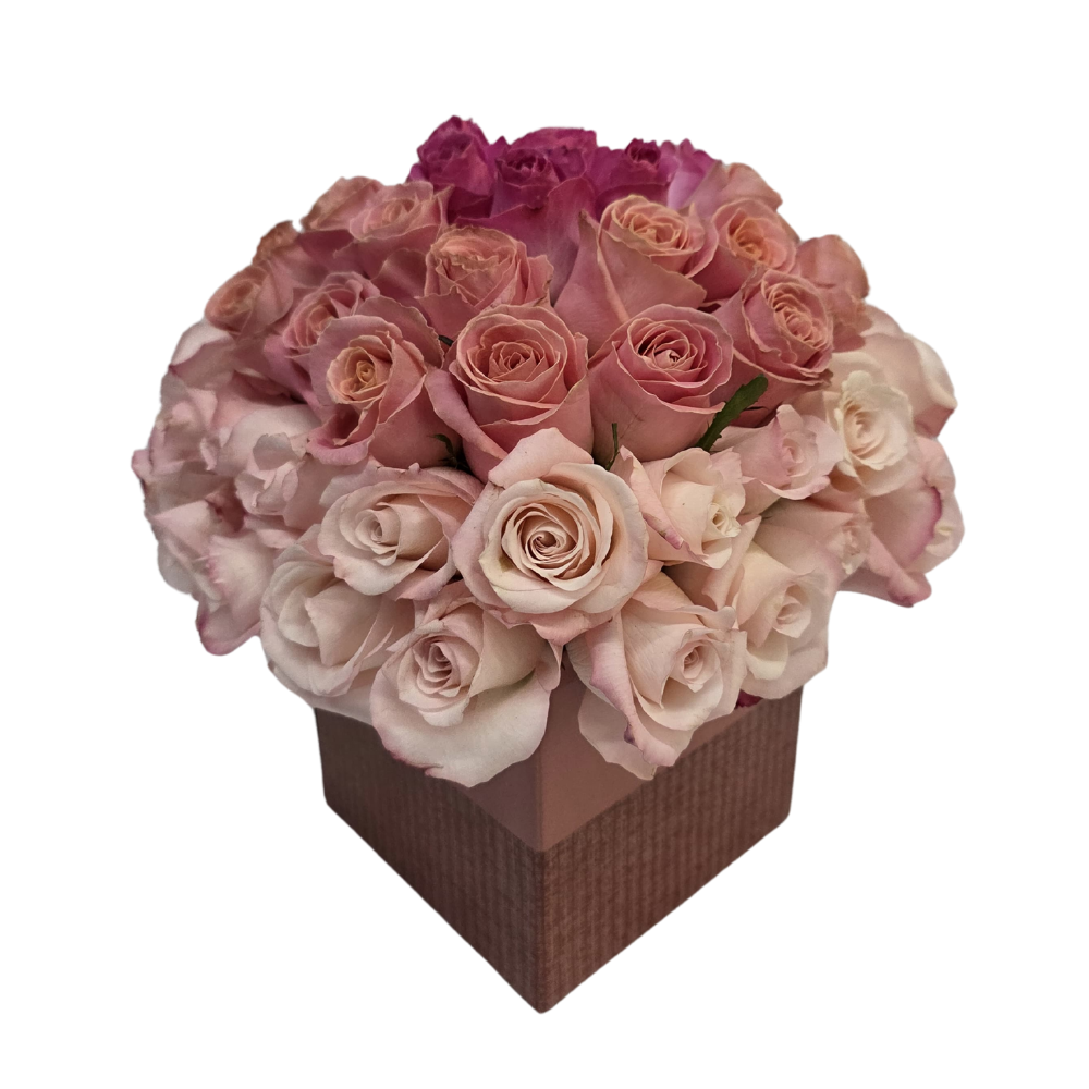 Arranjo com 45 Rosas Rosadas (Rosa Vânia, Pink e Lilás) no Cachepô Arranjo com 45 Rosas Rosadas (Rosa Vânia, Pink e Lilás) no Cachepô