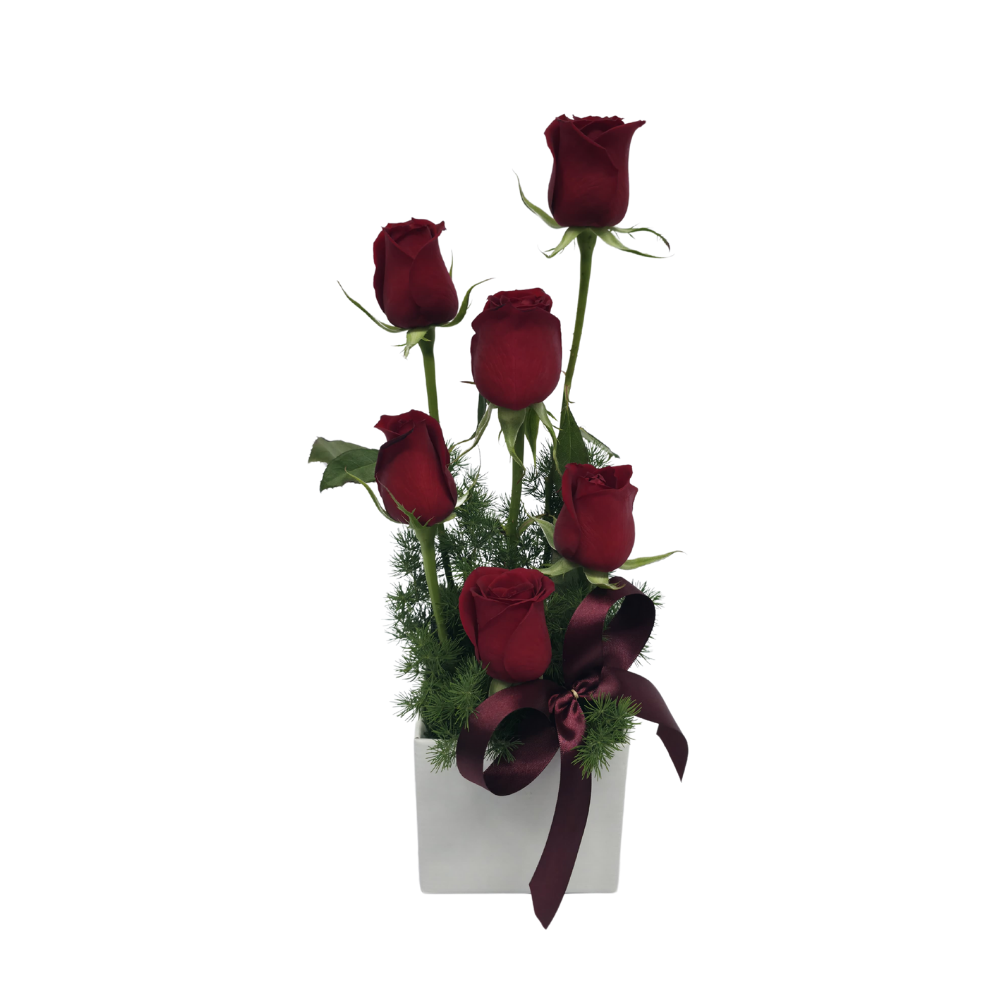 Arranjo com 6 Rosas Vermelhas no Cachepô Arranjo com 6 Rosas Vermelhas no Cachepô