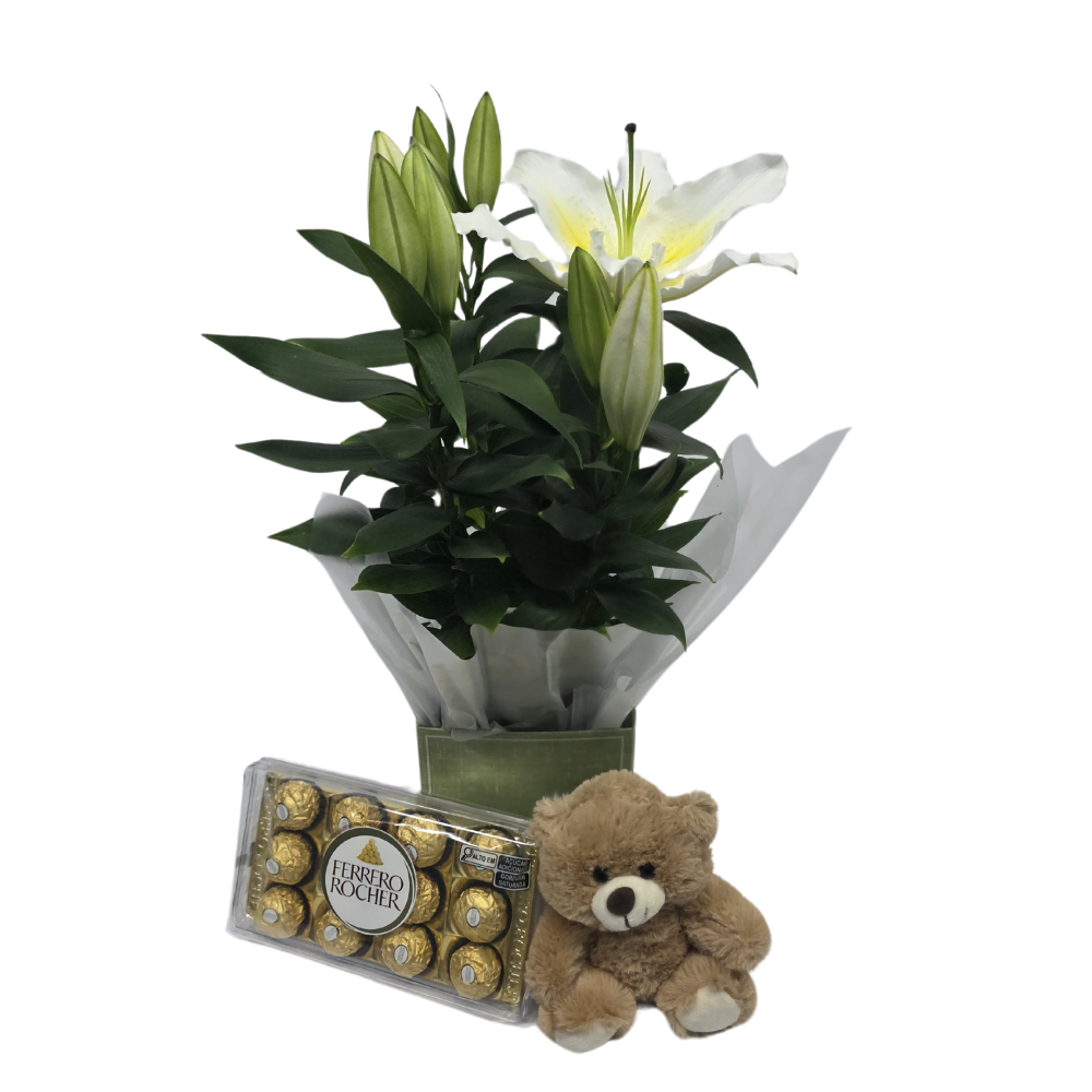 Arranjo com Lírios Brancos, Ferrero Rocher e Pelúcia